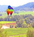 Napa Wine Tours